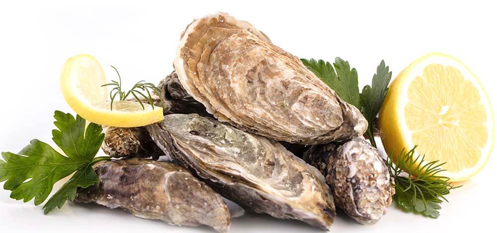 malpeque oysters beside a lemon